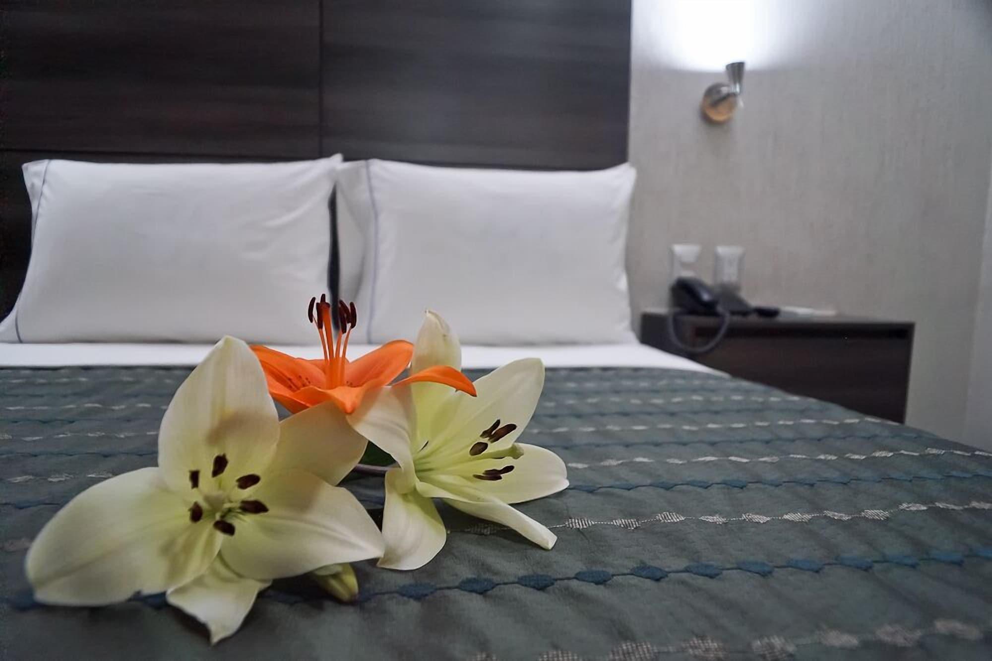גואדלחארה Hotel Expo Abastos מראה חיצוני תמונה